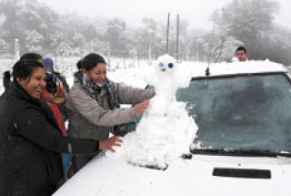 nieve